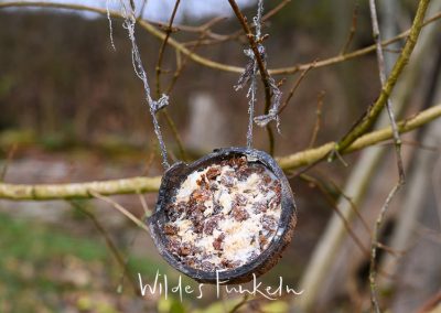 Vogel-Fettfutter in Kokosnuss