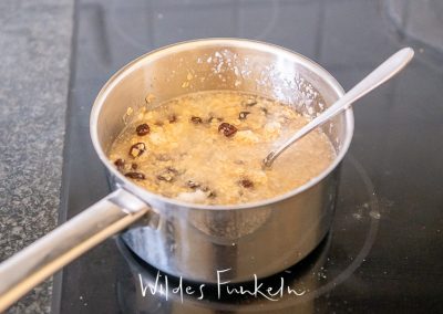 Vogel-Fettfutter aus Kokosfett, Haferflocken, Rosinen