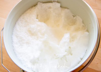 natives Kokosöl für das Vogel-Futter