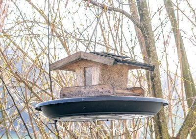 Vogel-Futterhaus