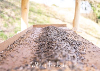 Vogel-Futterhaus mit Vogelfutter