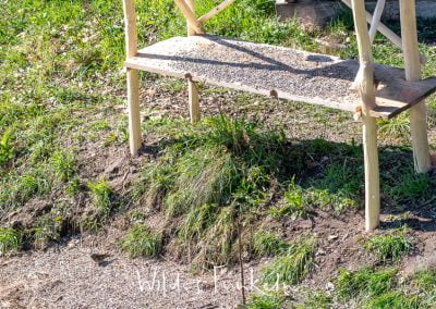 Buchfink - Fringilla coelebs - an Boden-Futterstelle des Vogel-Futterhauses