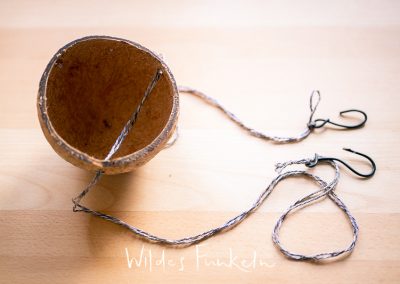 Kokosnuss für Vogel-Futter