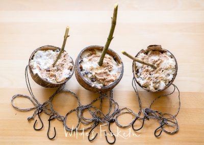 Mit Fettfutter gefüllte Kokosnüsse - Vogel-Futter